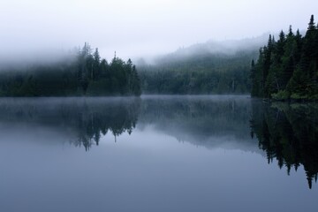Tranquil Foggy Lake Reflections - Serene mirror-like water reflecting trees and sky in mist-covered lake