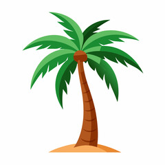 palm tree vector illustration