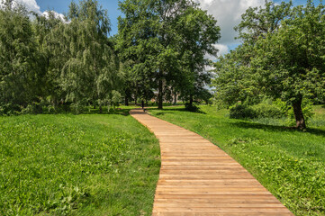 Wooden walking path among trees in the park.