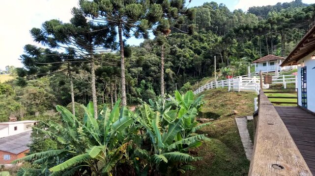 Timelapse Delfim Moreira Rosario, Brazil. Farm in the heart of nature.
