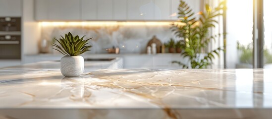 A bright, modern kitchen featuring a marble countertop, green plants, and sleek cabinetry illuminated by natural sunlight.