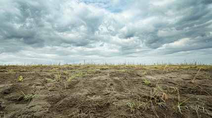 Empty lot's textured ground, wild grass and soil closeup under cloudy sky