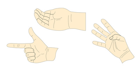 Hands. Fingers. A palm. Gesture. Illustration.