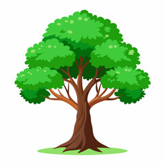 tree with green leaves