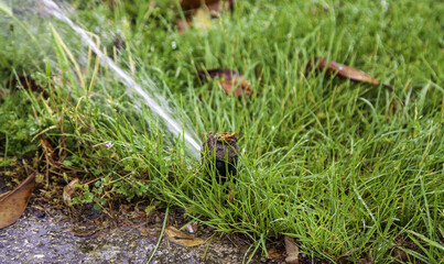 Sprinkler with water