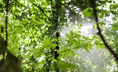 Sprinkler with water
