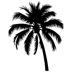 Obraz premium palm trees with beach silhouette vector style