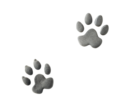 footprint on white background