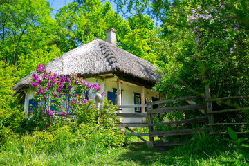 Ukrainian ancient authentic house with a thatched roof