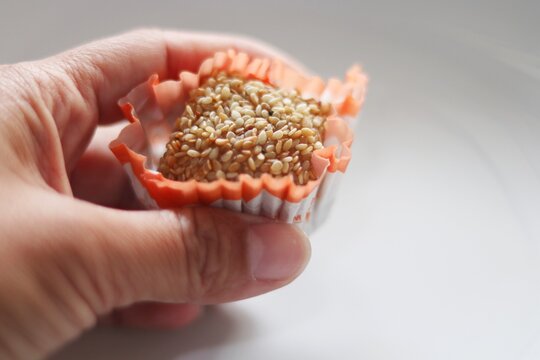 hand holding a mochi or moci wijen. isolated. copy space.