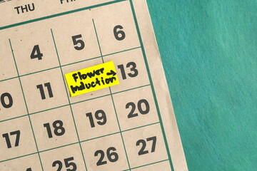 Flower induction schedule in farming and agriculture concept. Written reminder note on calendar.