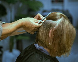 Naklejka premium Hairdresser's hands cutting hair. Hairdresser cutting woman's hair. Short hair cut.