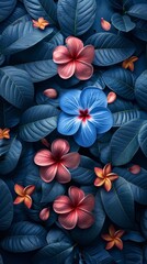 Beautiful flowers in blue tones. Pink tropical flower Plumeria, spa flower