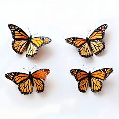 Obraz premium white background, in a line of four, monarch butterflies blue