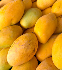 Fresh yellow mango as background
