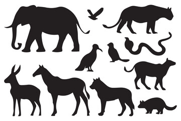 Animal silhouette collections .Vector illustrations