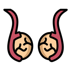 Testis Icon
