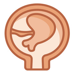 Placenta Icon