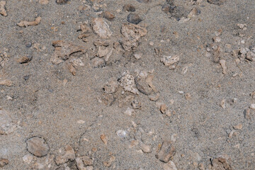 Ko Olina Beach Park, Leeward Coast of Oahu, Honolulu, Hawaii geology. Beachrock is a friable to well-cemented sedimentary rock. fragments of coral and shells in Beachrock .