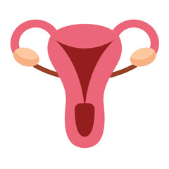Uterus Icon