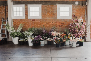 flowers in buckets against brick wall