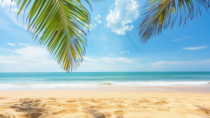 Tropical summer sand beach and palm on sea sky background, copy space