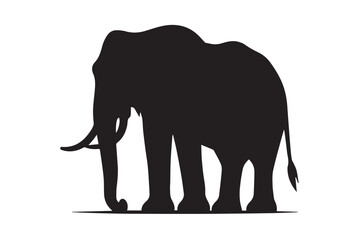 Fototapeta premium Sophisticated Elephant Silhouette Artwork