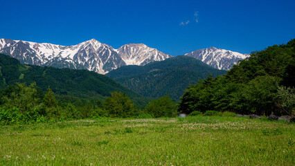 Obraz premium 新緑と残雪の北アルプス 白馬三山