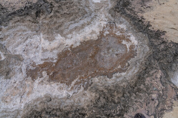 Ko Olina Beach Park, Leeward Coast of Oahu, Honolulu, Hawaii geology. Beachrock is a friable to well-cemented sedimentary rock. Salt weathering Tafoni
