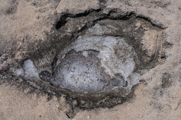  Ko Olina Beach Park, Leeward Coast of Oahu, Honolulu, Hawaii geology. Beachrock is a friable to well-cemented sedimentary rock. Salt weathering Tafoni
