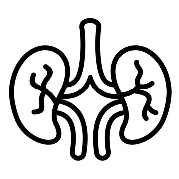 black outline kidneys medical anatomy clip art preview