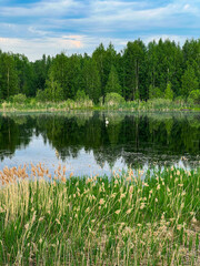 lake in the forest