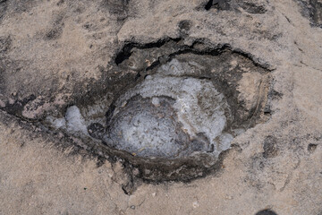  Ko Olina Beach Park, Leeward Coast of Oahu, Honolulu, Hawaii geology. Beachrock is a friable to well-cemented sedimentary rock. Salt weathering Tafoni

