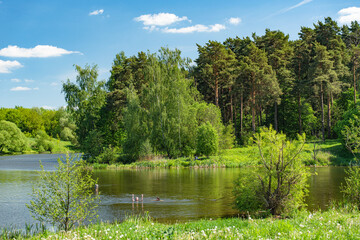Moscow. City bustle. Nature.