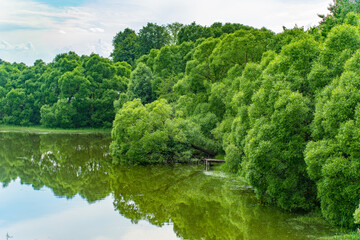 Obraz premium Moscow. City bustle. Nature.