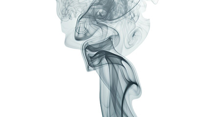 Fototapeta premium Photograph of a smoke frame forming a symbol or glyph, conveying a deeper meaning or message, on a transparent background.