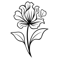 Flower Silhouette 