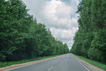 straight asphalt road in the middle of the forest