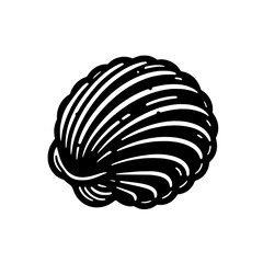 seashell vector illustration isolated on white background