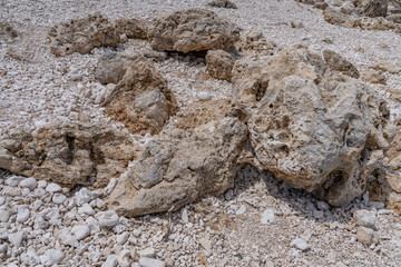 Coral fossils / reef deposits / Limestone at Ko Olina Beach Park, Leeward Coast of Oahu, Honolulu, Hawaii geology.  