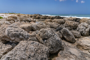 Coral fossils / reef deposits / Limestone at Ko Olina Beach Park, Leeward Coast of Oahu, Honolulu, Hawaii geology.  