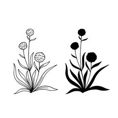Linear sketch, silhouette of a plant, meadow grass, wildflowers, dried flowers. Vector graphics.