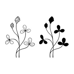 Linear sketch, silhouette of a plant, meadow grass, wildflowers, dried flowers. Vector graphics.
