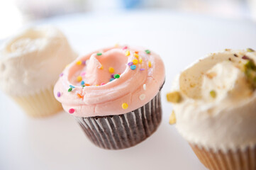 cupcake with icing