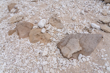 Beachrock with Coral fossils / reef deposits / Limestone at Ko Olina Beach Park, Leeward Coast of Oahu, Honolulu, Hawaii geology. Beachrock is a friable to well-cemented sedimentary rock. 