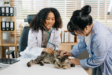 African Veterinary for treating sick cats, Maintain animal health Concept, animal hospital