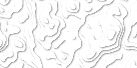 Abstract background with waves. Abstract Papercut and multi layer cutout geometric patten on vector, Abstract soft white background with waves.