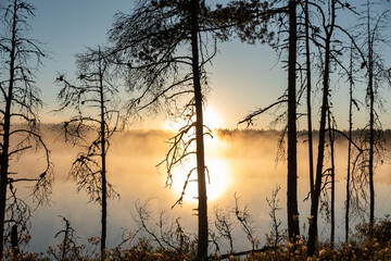 sunrise, sunset landscape by the marsh lake, morning fog, reflections in the water, traditional marsh lake vegetation