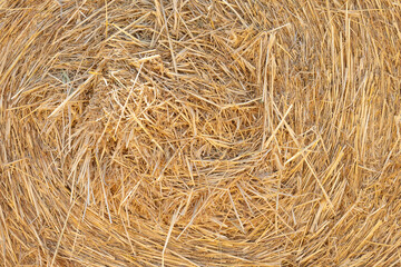 close up hay bale for backgrounds