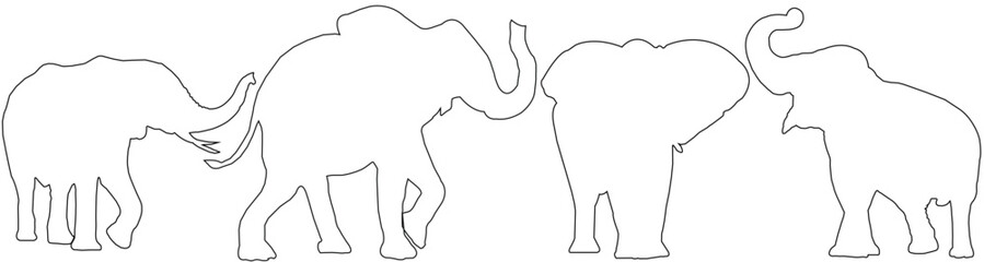 hand drawn illustration Elephant